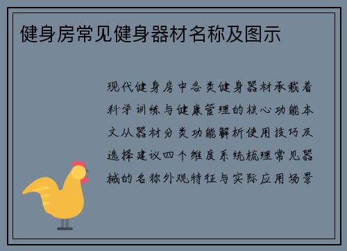健身房常见健身器材名称及图示